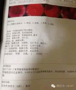 胃镜检查报告单图片 教你如何看胃镜检查报告(图)