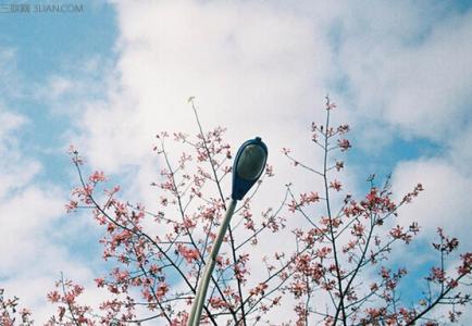 李明哲事件 明哲美文:分享和保守