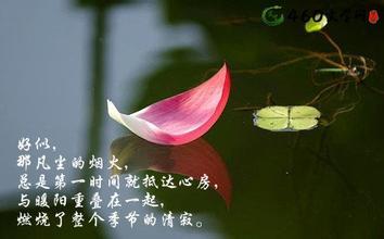 指尖的涟漪 【原创】触指尖岁月，拂一抹涟漪