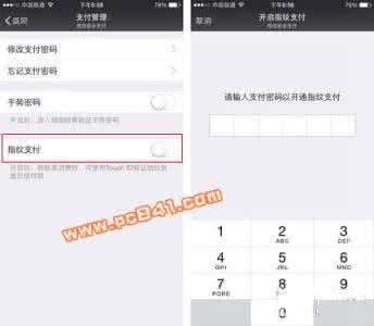 新版微信指纹支付没了 微信iPhone版指纹支付在哪