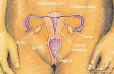 外阴炎的临床表现 外阴炎的临床表现 女性 外阴炎的最主要表现