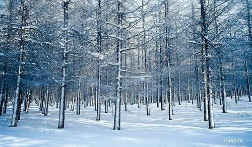 摄影构图实例 实例教你构图拍好冰雪世界