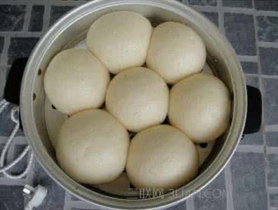 电饭锅如何蒸馒头 电饭煲蒸馒头的做法