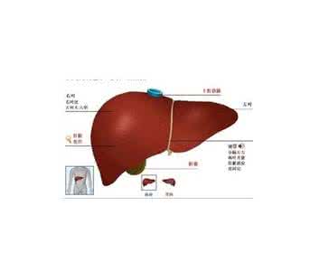 肝区隐痛的原因 肝区隐痛 造成它的原因是什么