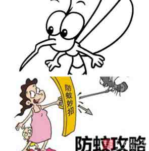 灭蚊妙招 一张图教你居家灭蚊有妙招，从