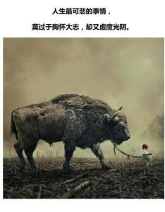 胸怀大志却又虚度光阴 最可悲莫过于胸怀大志，却又虚度光阴