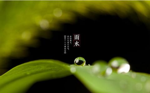 清明节气的意思 雨水节气的意思