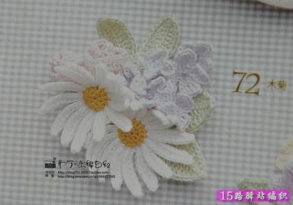 钩针花朵花样大全图解 钩针花朵叶子图解,很多美丽的花朵|钩针花样图解
