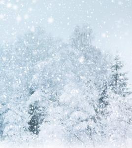 梦见地上都是雪 梦见雪