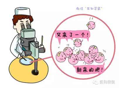 试管婴儿能筛选性别吗 试管婴儿能筛选性别吗 试管婴儿的4种谣言,真能选择性别,还不能顺产吗