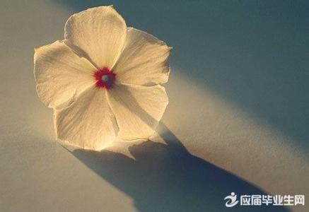 结局后才会明白 人生慢慢才會明白的50件事,看完你就懂得了人生