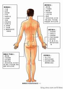 医行天下拍打拉筋 拍打拉筋自愈健康法【医行天下——肖宏慈】