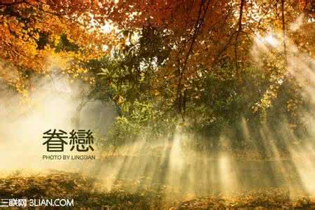 遇见你的地方阳光透过 遇见你的地方