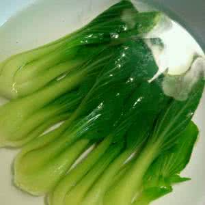油菜心的做法 油菜心的减肥效果怎么样