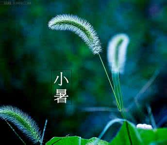 小暑的谚语 小暑养生谚语