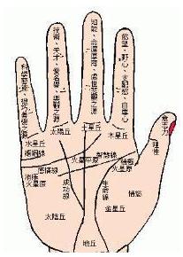 十指指纹算命口诀 【民间手相指纹算命口诀】- 一点资讯(Yidianzixun.com)