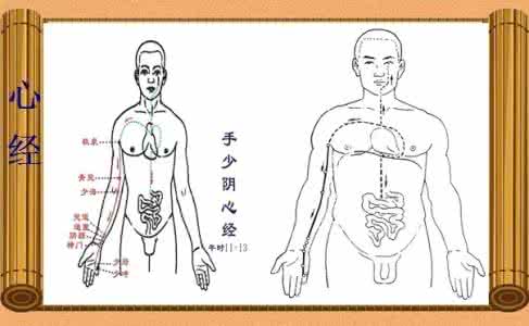 十二时辰经络养生 十二经络 了解经络养生不得病