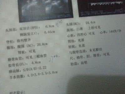 b超bpd是什么意思 b超bpd是什么意思 孕检B超单上经常出现的双顶径（BPD）是神马意思？