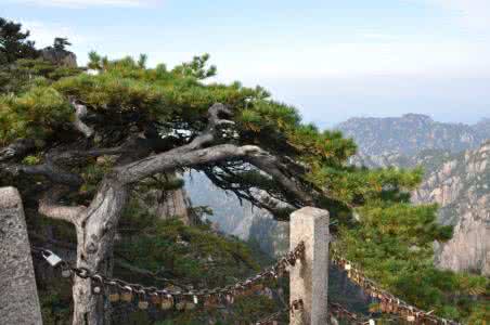 黄山旅游纪录片 黄山旅游纪录片(全集)
