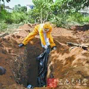 埃博拉疫情 西非国家或因埃博拉疫情陷入粮食危机