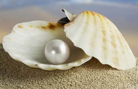 小故事大道理 努力使自己成为一颗珍珠