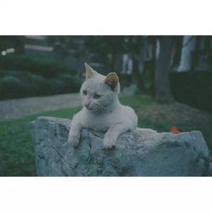 请允许我一个人仰望 远方,请允许我温柔以待!