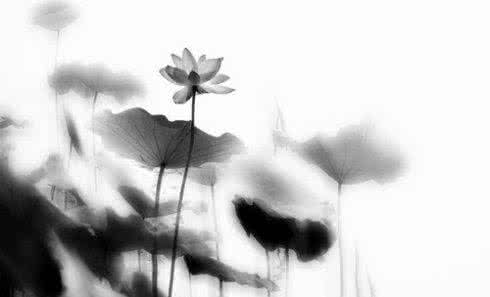 你是我的禅 秀色可餐 你是我心上的禅