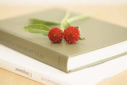 有关爱情感悟的句子 【爱情是一本需要去感悟的书】