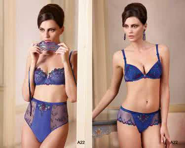 韩国内衣品牌排行榜 国际内衣品牌排行榜 【国际内衣品牌排行榜】2014国际内衣品牌推荐