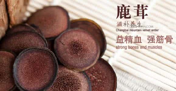 鹿茸可以天天吃吗 男人可以吃鹿茸吗