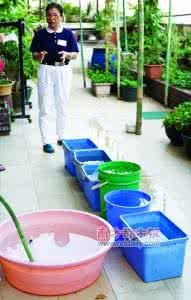 空调水能浇花吗 金桔自制酵素?洗衣水能浇花