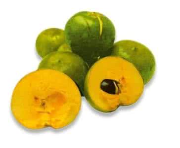 怪异水果  怪异水果，你认识几个？