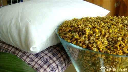菊花枕头的功效与作用 菊花枕头的功效与作用 菊花枕头的神奇功效 菊花枕头功效介绍
