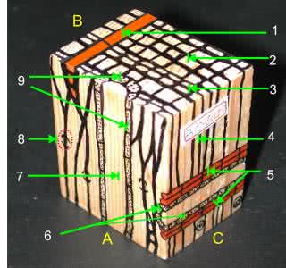 白沟的皮具箱包便宜吗 具沟的