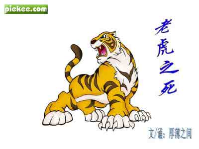 老虎的励志故事 励志故事 励志故事 猫充老虎