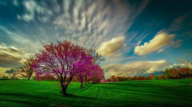 用情专一的名言 【经典名言荟萃】677  做人要淡，用情要真；凡事想开，凡事看透，懂得善待才能相守，珍惜当下才配拥有