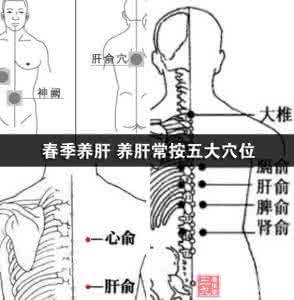 春季养肝 春季养肝 养肝常按五穴位