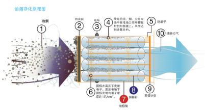 美女的光屁股子被打红 油烟 请尽快查明原因 宝宝屁股通红还起红疹，查明原因后我后悔图方便