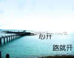 圣严法师 活在当下 以死亡为师,活在当下
