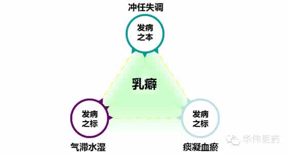 雌激素过高的原因 雌激素过高 雌激素过高是什么原因引起的