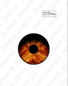 对心灵深处幻想的憧憬 憧憬是心灵之眼