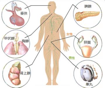 生长激素缺乏症 生长激素缺乏症有什么表现
