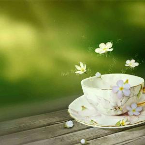 淡泊宁静的经典语录 淡泊宁静