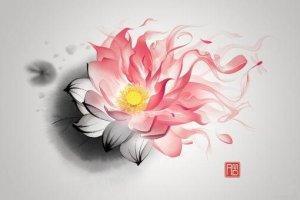 综一念一穿 一念古风一痴迷