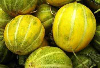 梦见香瓜 香瓜 梦见香瓜_香瓜