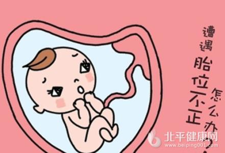 孕妇胎位不正纠正图 孕妇胎位不正四种异常小心