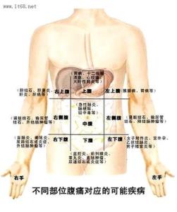 下腹部疼痛 下腹部疼痛 左下腹疼痛是怎么回事 女人腹部疼或是妇科病