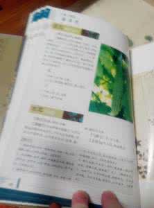 本草纲目图鉴 食用本草纲目彩色图鉴