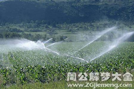 梦见浇水 梦见水 梦见浇水