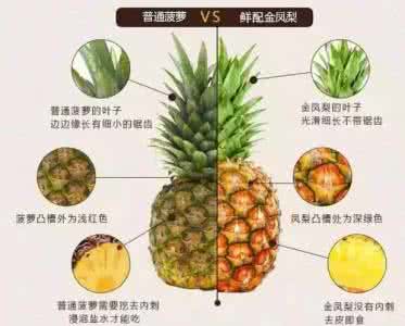 凤梨和菠萝的差别 凤梨和菠萝有什么差别？